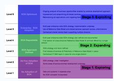 BEA的SOA成熟度矩阵