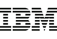 IBM 制造业信息化管理人沙龙