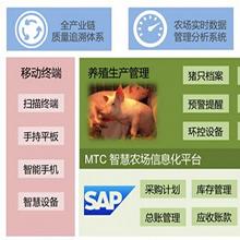 MTC猪场管理信息化系统